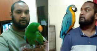 Hishaam Peerbocus