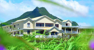 Mariannes Wellness Sanctuary