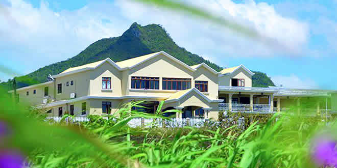 Mariannes Wellness Sanctuary