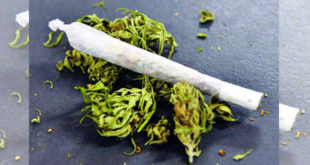 drogue