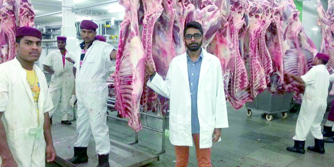 qurbani