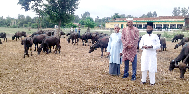 qurbani