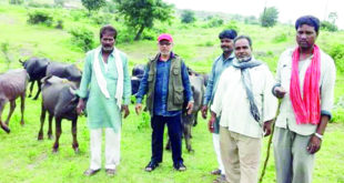 Qurbani