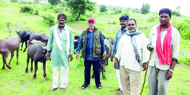 Qurbani
