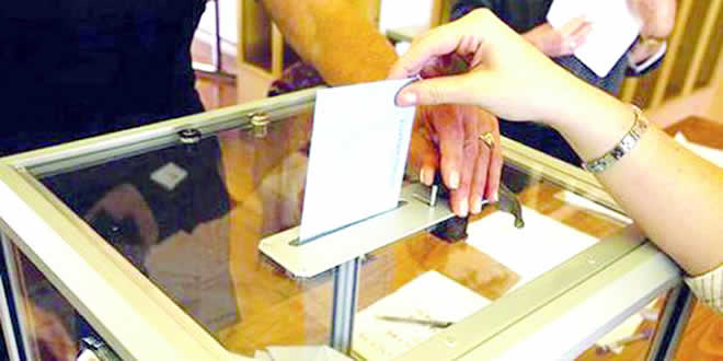 vote